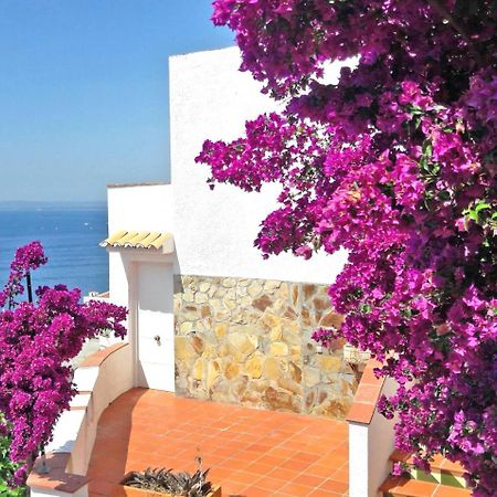 Splendido Studio, Vista Mare, A 5Mn Dalla Spiaggia - Casa Artevida Roses Buitenkant foto