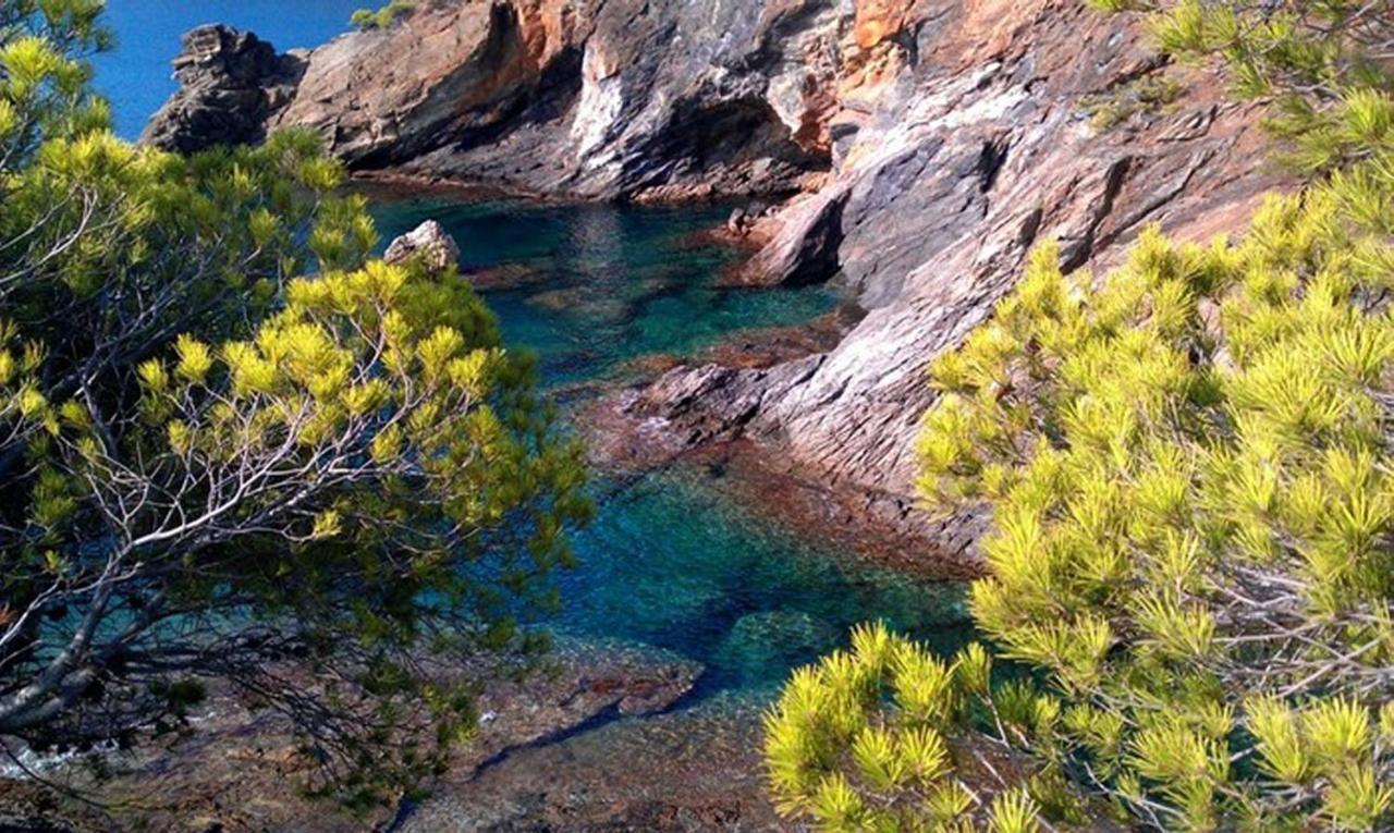 Splendido Studio, Vista Mare, A 5Mn Dalla Spiaggia - Casa Artevida Roses Buitenkant foto